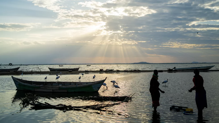 Kenya's Lake Turkana is expanding rapidly despite four failed rainy seasons, devastating the livelihoods of pastoralists hit by the effects of man-made climate change, reports BBC Newsnight's Joe Inwood.