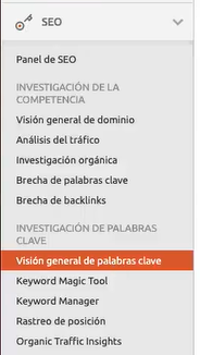 panel de vision general en semrush 