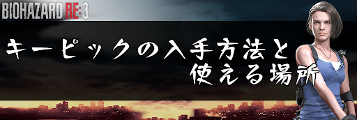 バイオre3_キーピック