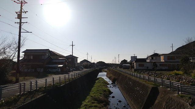 梅や桜が咲き始めましたね