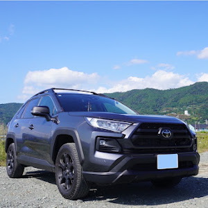 RAV4 MXAA54