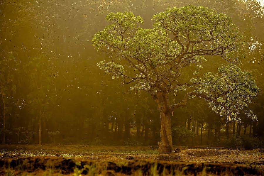 Kāzu fotogrāfs Kannan Mani (kannang). Fotogrāfija: 9. decembris 2020