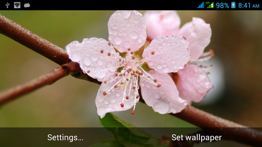 免費下載娛樂APP|Nature live wallpapers app開箱文|APP開箱王