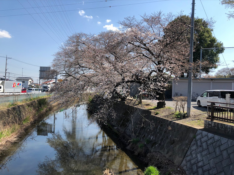 スカイラインのしゃちこさんが投稿したカスタム事例の投稿画像8枚目