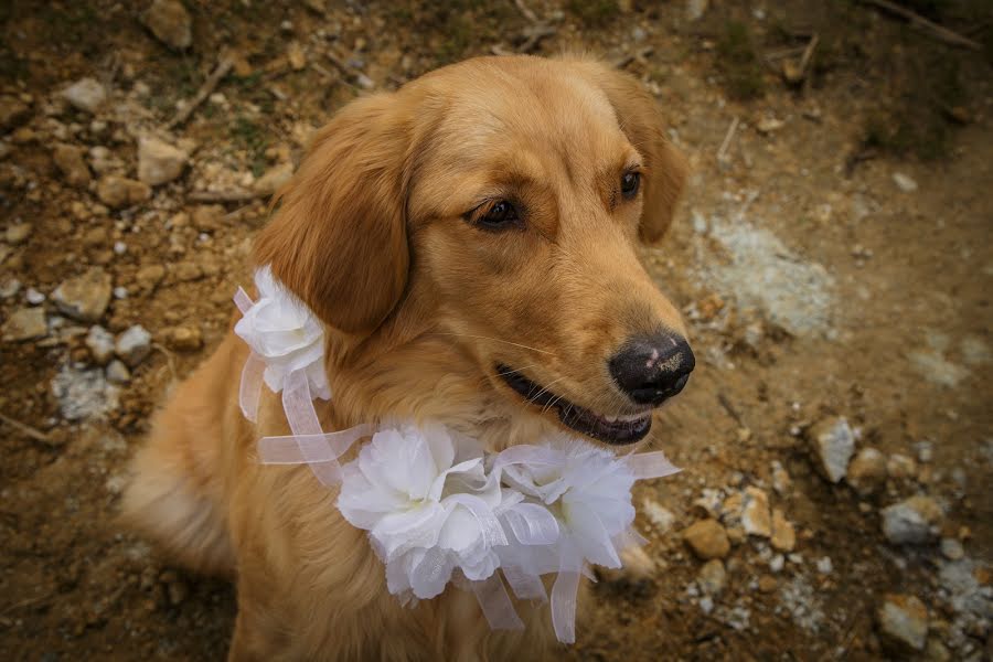 Fotografo di matrimoni Henry Unigarro (henryunigarro). Foto del 26 febbraio 2020