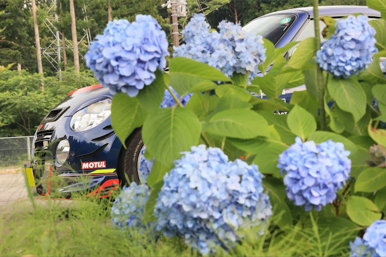 コペンの夏の富士🗻・紫陽花コラボ・暑さには勝てない・梅雨時々猛暑に関するカスタム事例の投稿画像2枚目