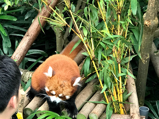 Hong Kong China 2018