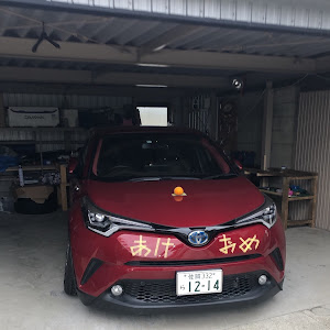 C-HR ZYX10