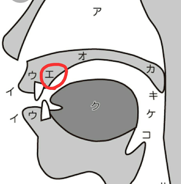 の投稿画像5枚目