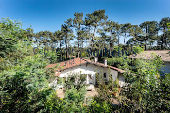 maison à Lege-cap-ferret (33)