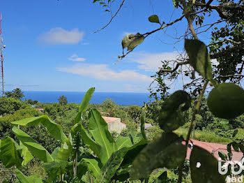 L Ajoupa Bouillon (972)