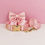 Bow Collar Leash02