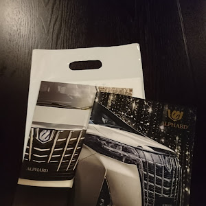アルファード ANH25W