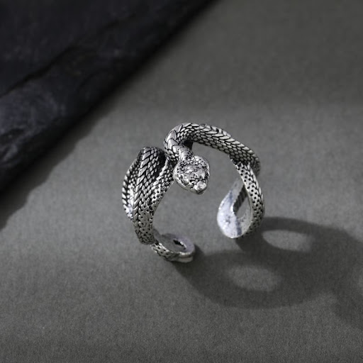 Title 6, Retro Europe And America Python Ring Dark Punk ...