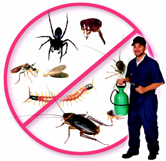 Pest Control Exterminator Services Saint Helena Island Sc