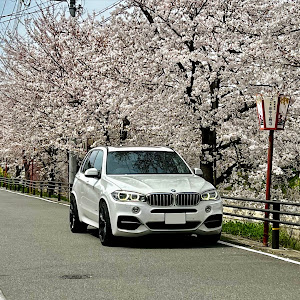 X5 xDrive 35d