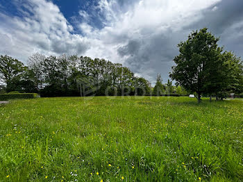 terrain à Moulins-sur-Ouanne (89)