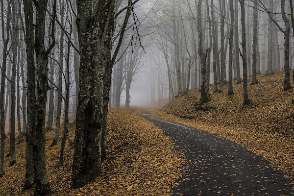 Verso la Nebbia d'Autunno di samuele.laurenzi