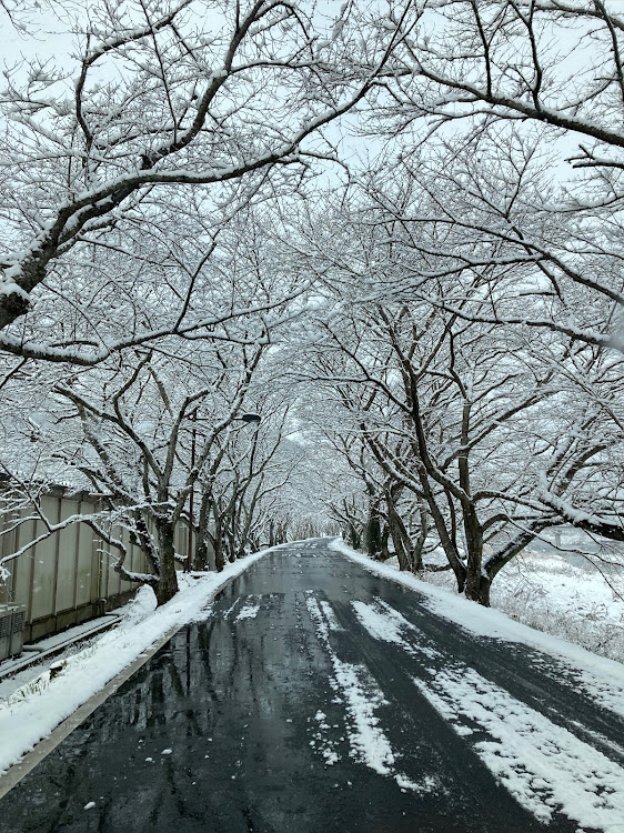 の投稿画像6枚目