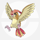 pidgeotto