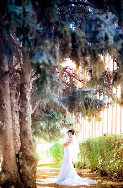 Fotografo di matrimoni Svetlana Soloveva (gaididei). Foto del 22 febbraio 2014