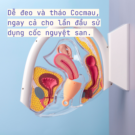 Trọn bộ Chăm sóc kinh nguyệt Cocmau - Cam Đu đủ