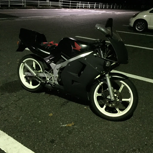 パグのプロフィール画像