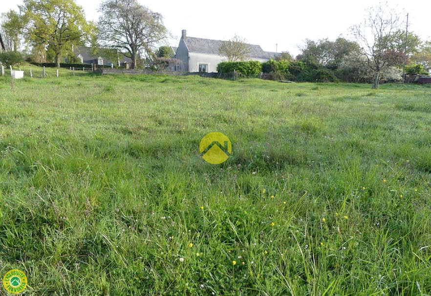 Vente terrain  1003 m² à Langeais (37130), 95 000 €