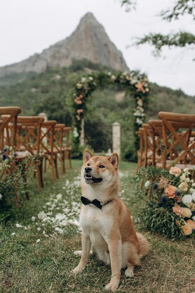 Wedding photographer Denis Klimenko (phoden). Photo of 10 August 2021