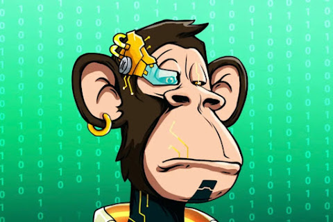 Author avatar