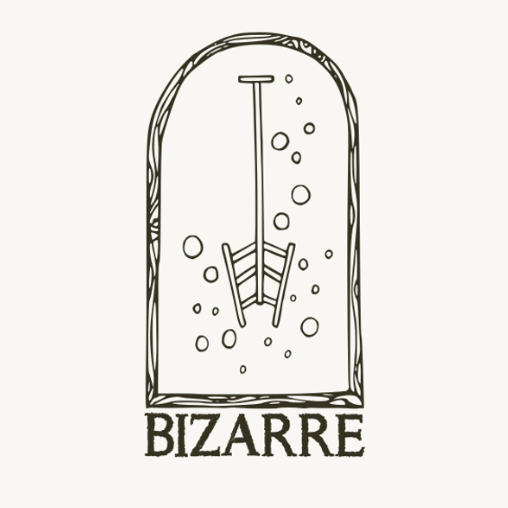 Enter Bizarre - Bizarre Brewing