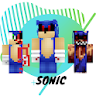 Skin Sonic for MCPE icon