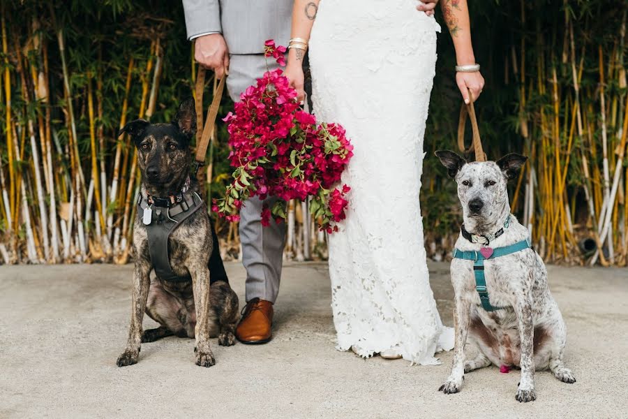 Photographe de mariage Chance Faulkner (chance). Photo du 8 mai 2019