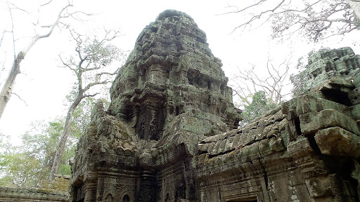 Tomb Raider Movie Temple (Ta Prohm) Cambodia 2016