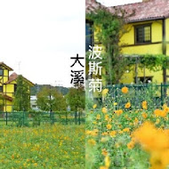 Yellow House_449