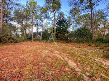 terrain à Saint-Jean-de-Monts (85)