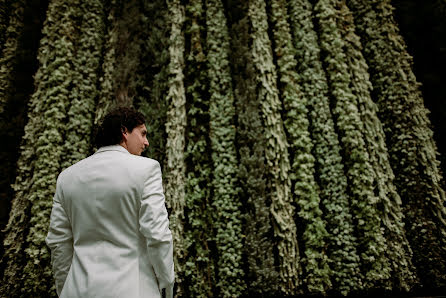 Wedding photographer Luis Garza (photoboda). Photo of 12 February 2018