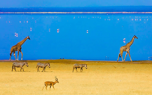 Photographer James Martin screenshot 1