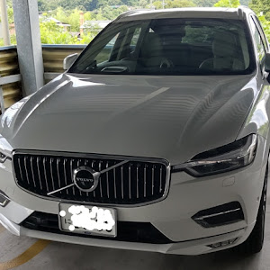 XC60 DD4204TXC