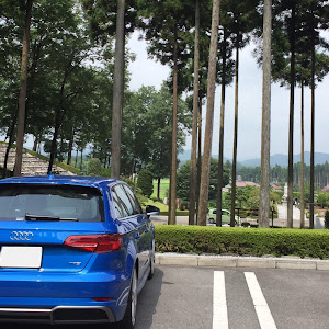 A3 スポーツバック