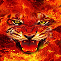 Fondos de Pantalla Tigres Gratis