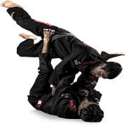 Brazilian jiu jitsu  Icon