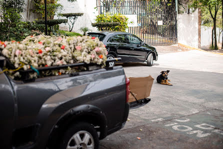 Fotógrafo de bodas Elena Flexas (elenaflexas). Foto del 23 de marzo 2020