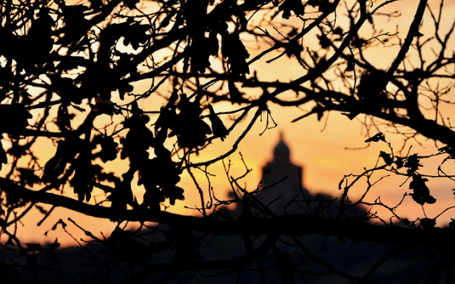 Tra le foglie, San Luca! di momoronf