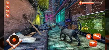 Stray Cat Simulator