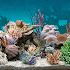 3D Aquarium Live Wallpaper1.1.5