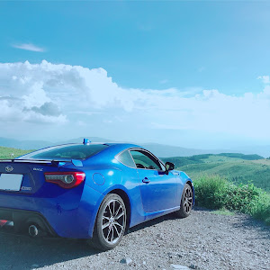BRZ ZC6