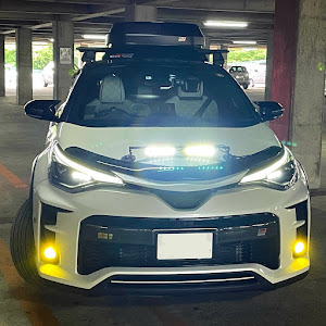 C-HR ZYX11