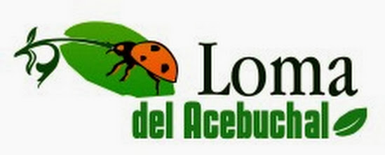 Loma del Acebuchal