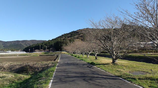 久しぶりに田んぼ方面に散歩